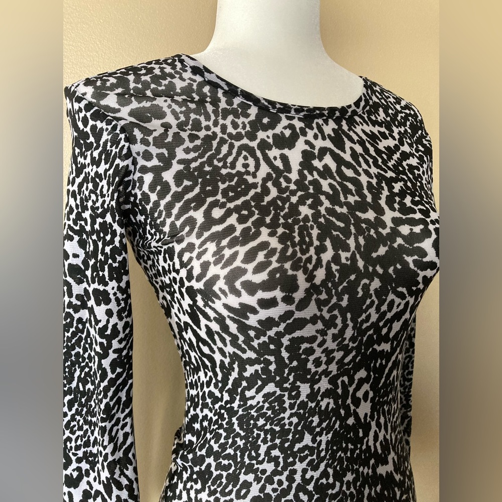 Sheer Jacob Top